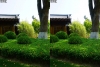 View Images