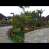 View Images
