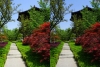 View Images