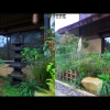 View Images