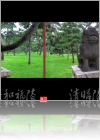 View Images