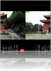 View Images
