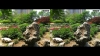 View Images