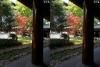 View Images