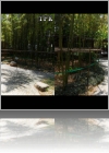 View Images