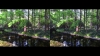 View Images