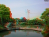 View Images
