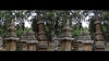 View Images