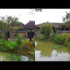 View Images
