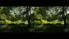 View Images