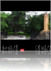 View Images
