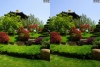 View Images