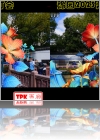 View Images