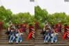 View Images