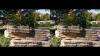 View Images