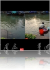 View Images
