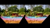 View Images