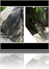 View Images