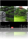 View Images