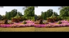 View Images
