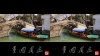 View Images
