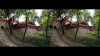 View Images