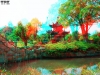 View Images