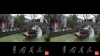 View Images