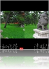 View Images