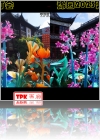 View Images