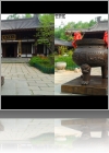 View Images
