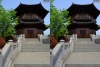 View Images
