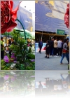 View Images