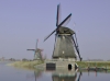View Images