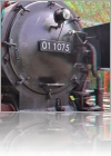 View Images