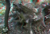 View Images