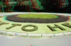 View Images