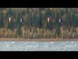 VR 3D SBS Kite Surfing on the Columbia River, Google Cardboard View